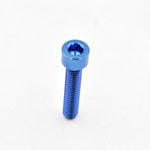 Titanium Parallel Socket Cap Bolt